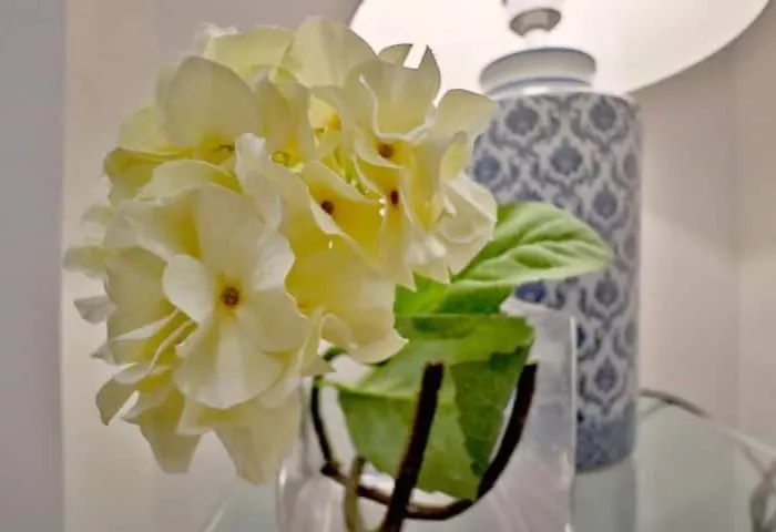 Balcon De La Vieja 아파트 *