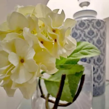 Balcon De La Vieja アパート *