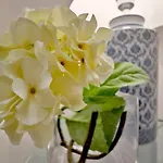 Balcon De La Vieja Διαμέρισμα *